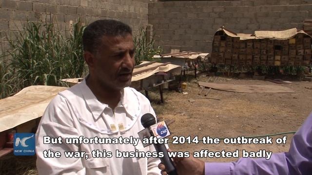 Yemen's honey industry threatened by civil war смотреть онлайн