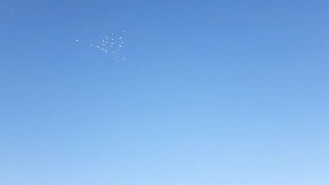 Кызылорда облысы Казалы ауданы🕊(3) смотреть онлайн