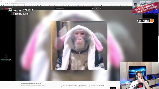 Реакция Заквиеля на ДИСС НА НЕКОГЛАЯ / MZLFF, STINT | Заквиель смотрит Дисс на Некоглая от Мазеллов смотреть онлайн