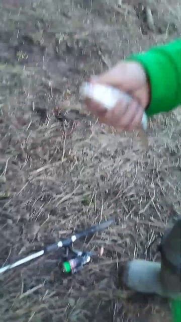 СОРОЖКА | #рыбалка #fire #fishing #карп #рек #рекомендации #башкирия #щука #carp #сорожка #shorts | смотреть онлайн