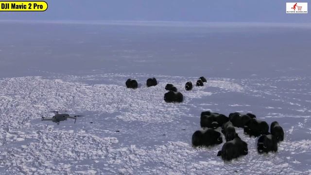 Best Drone For Construction смотреть онлайн