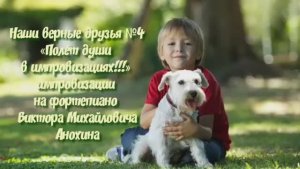 МУЗЫКА «Наши верные друзья №4» ИМПРОВИЗАЦИЯ фортепиано композитор Виктор Анохин #instrumentalmusic