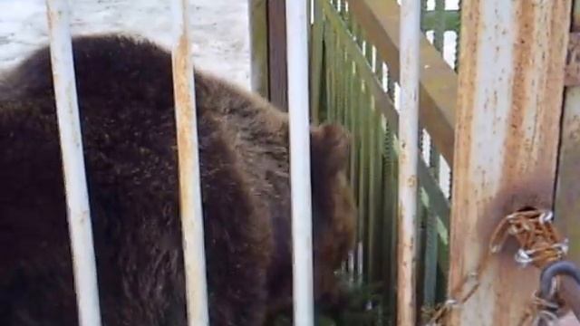 Потапка и Тоня смотреть онлайн