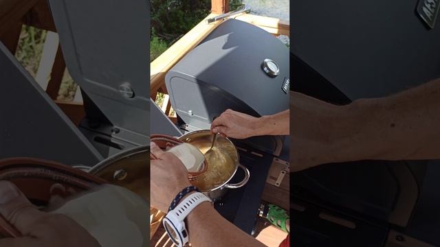 Wildlife Wanderlust Chronicles