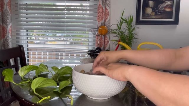 PROPAGATING POTHOS IN WATER смотреть онлайн