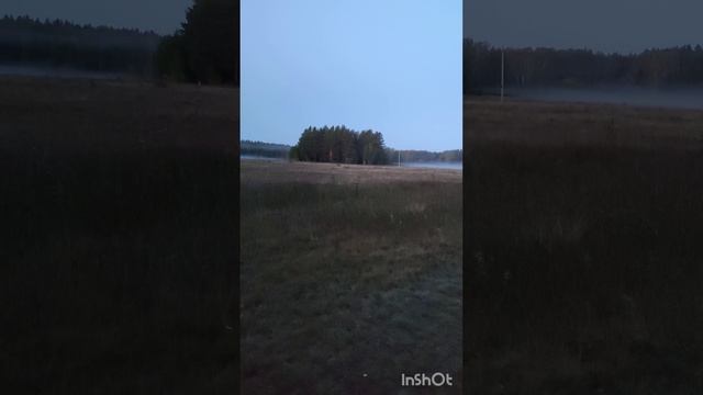 ЗОНА НАГОНКИ ФИНСКАЯ ГОНЧАЯ ПОДЪЁМ ЗАЙЦА смотреть онлайн