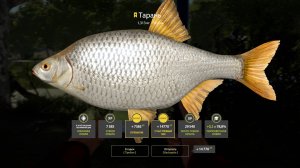 Русская рыбалка 4 - ТРОФЕЙ ТАРАНЬ..СЕВЕРСКИЙЙ ДОНЕЦ