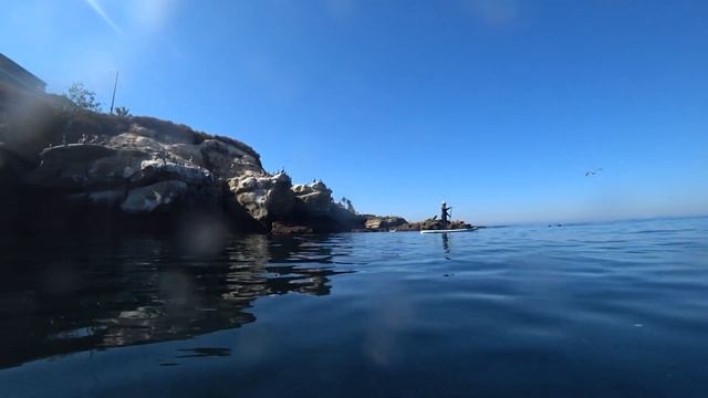 Paddle Boarding at La Jolla and San Diego area. October 2020. смотреть онлайн