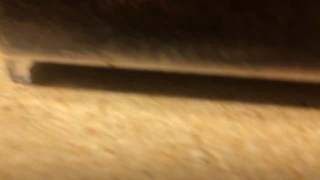 Pickups from the 2017 Charlotte Repticon смотреть онлайн