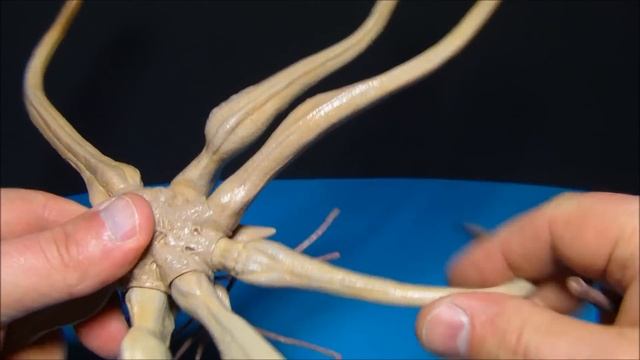 NECA PROMETHEUS TRILOBITE / BATTLE DAMAGED ENGINEER TRU EXCLUSIVE 2 PACK TOY REVIEW смотреть онлайн