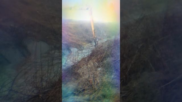 Зверь 2019 года смотреть онлайн