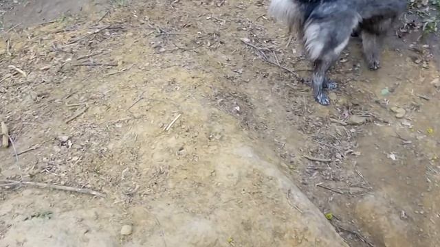 Барсучья нора... смотреть онлайн