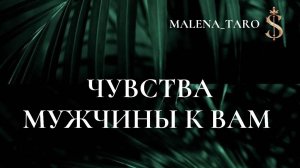 ТАРО РАСКЛАД
ЧУВСТВА МУЖЧИНЫ К ВАМ