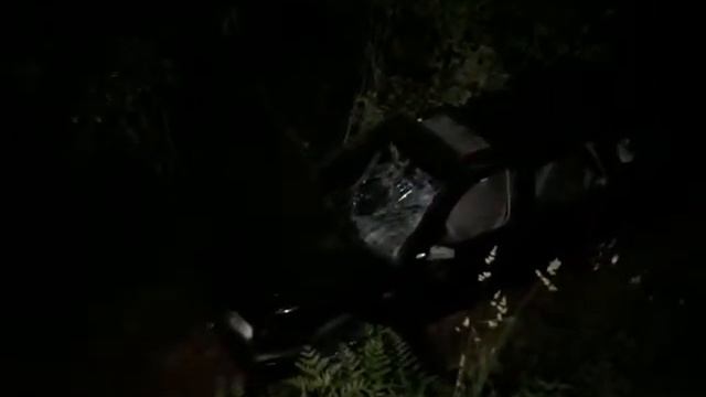 Лось смотреть онлайн