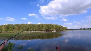 ЛОВЛЯ АФРИКАНСКОГО СОМА НА ПОПЛАВОЧНУЮ СНАСТЬ! РЫБАЛКА В КОКИНО (ОСНОВНОЙ) ЛУЧШИЕ МОМЕНТЫ РЫБАЛКИ!