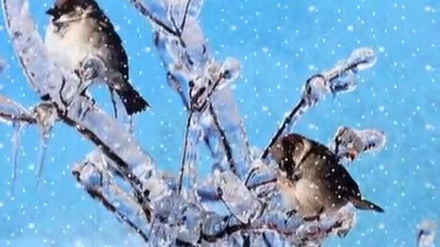 Падает снег - оркестр Поля Мориа смотреть онлайн