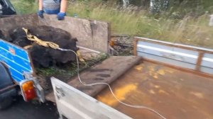 ТОННЫ Скрапа в Одном месте!!! С каналом ЧЁРНОЕ ЗОЛОТО!!!