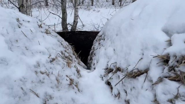 2 марта 2024 г. смотреть онлайн