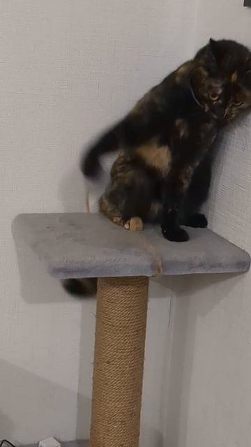 Когда ты в дурном настроении смотреть онлайн