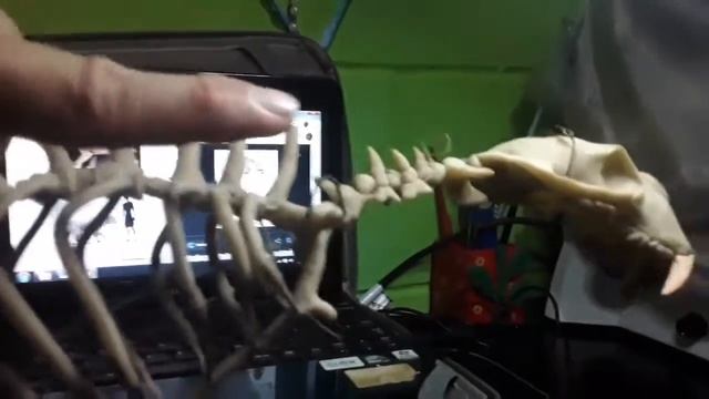 Smilodon (parte 1) смотреть онлайн