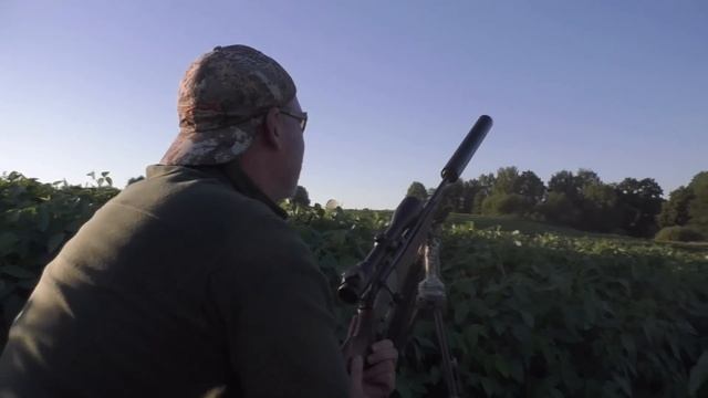 Охота на косулю с манком. смотреть онлайн