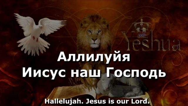 House of Prayer for all nations - Lion of Judah смотреть онлайн