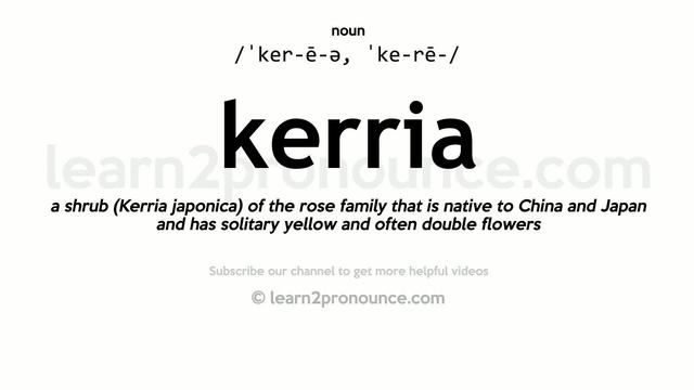 Pronunciation of Kerria | Definition of Kerria смотреть онлайн