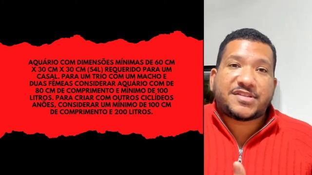 Peixe xadrezinho смотреть онлайн