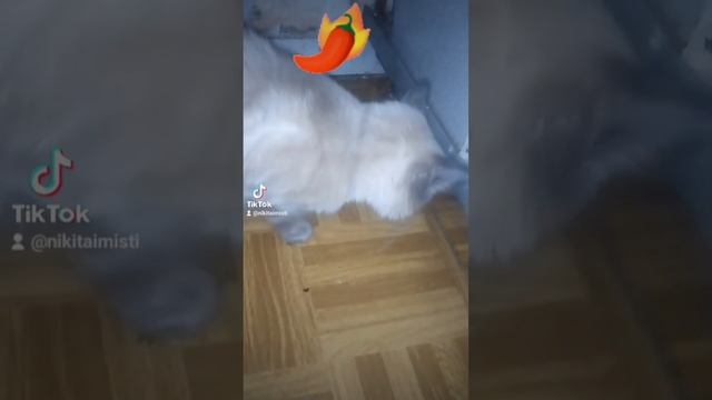Огненный перец все серии смотреть онлайн