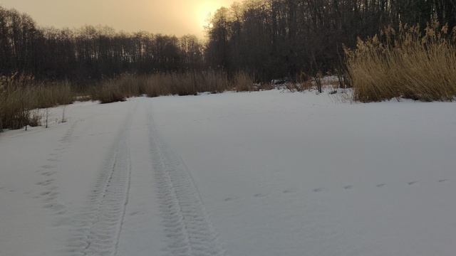 VID_20240316_071744 смотреть онлайн