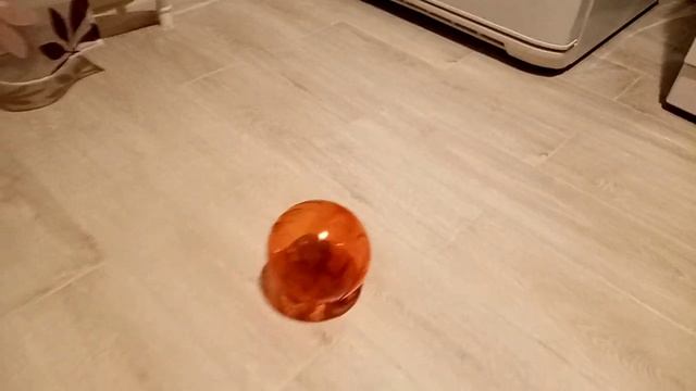 ЗАПУСТИЛ ХОМЯКА В ШАР И ПУСТИЛ ПОКАТАТЬСЯ смотреть онлайн