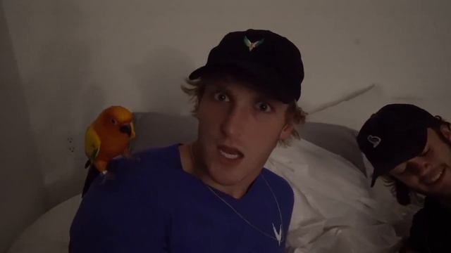 REAL LIFE TEDDY BEAR SCARE PRANK! смотреть онлайн