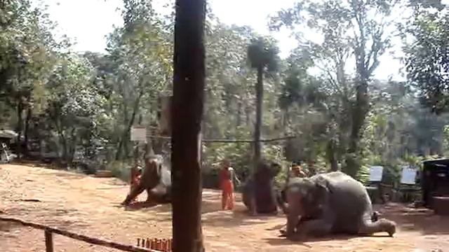 Изображение 277 смотреть онлайн