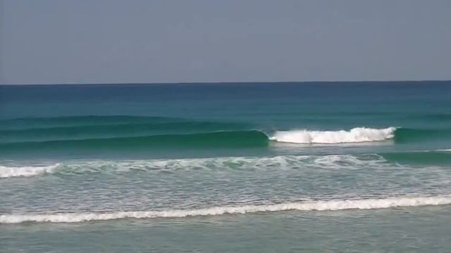 Yuraygir National Park --- Dingo Tracks Part 2. смотреть онлайн