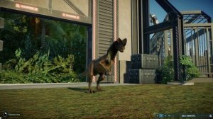 Все окрасы дилофозавра #Jurassicworldevolution2 #Jurassicworldevolution #Jurassic #Game #Recommenda