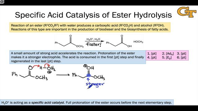 01.08 Ester Hydrolysis and Specific Acid Catalysis смотреть онлайн