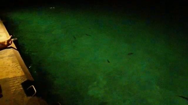 Sai Kotari Kuredu Restaurant in Maldives смотреть онлайн