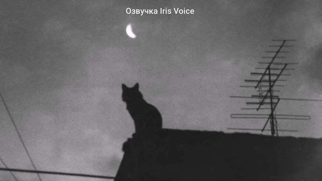 [Озвучка Iris Voice] Озвучка фф “Во власти страха” Часть 8 смотреть онлайн
