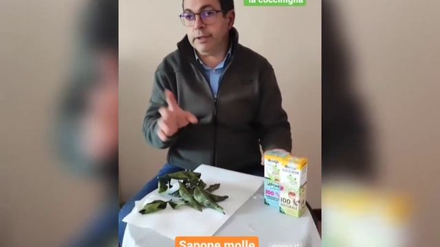 TRATTAMENTO BIOLOGICO CONTRO LA COCCINIGLIA смотреть онлайн