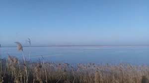 Природа зимой VID_20250214_162325