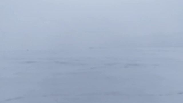вода. метель смотреть онлайн