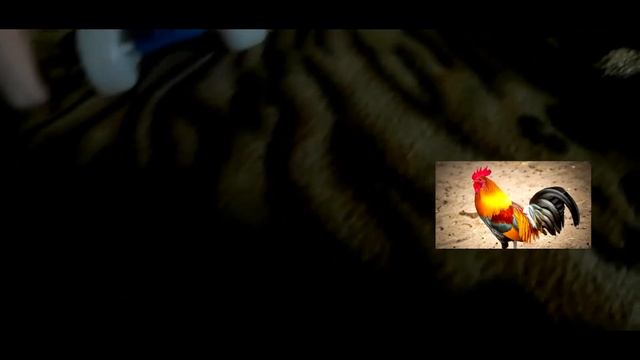 Алинины коллекция животных смотреть онлайн