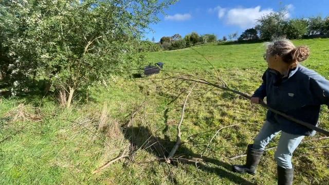 Building a Swale Food Forest | Harvesting, Pruning and Planting! смотреть онлайн
