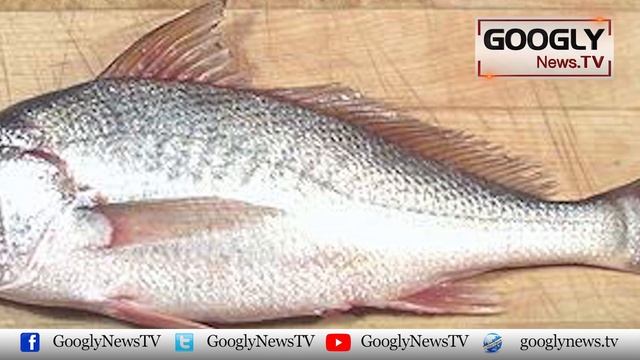 Balochistan Kai Macharion Ko Aik Machli Nai Lakh Pati Bana Diya | Googly News TV смотреть онлайн