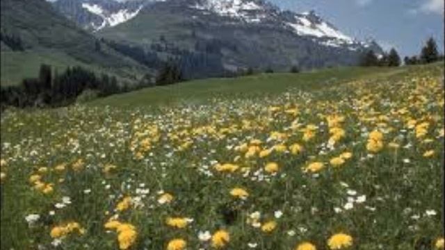 My Moviegod bless america смотреть онлайн