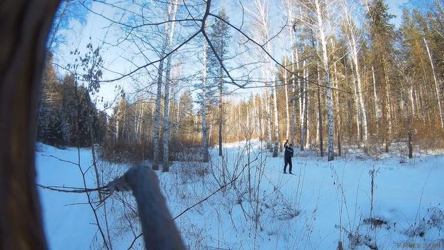 Прогулка на лыжах в лесу. Туймазы 23февраля 2018год.