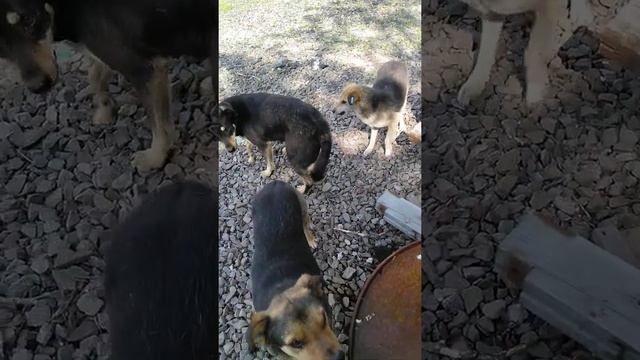 VID 20210525 152045 смотреть онлайн