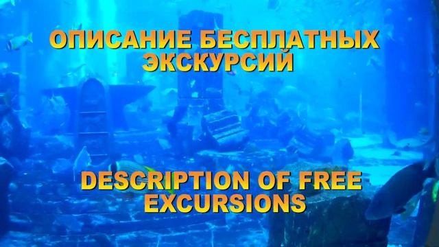 Биг бас Дубаи, ОАЭ. Big Bus Tour - Dubai, UAE