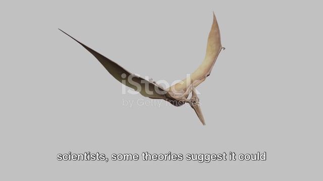 Pteranodon vs. Other Pterosaurs смотреть онлайн
