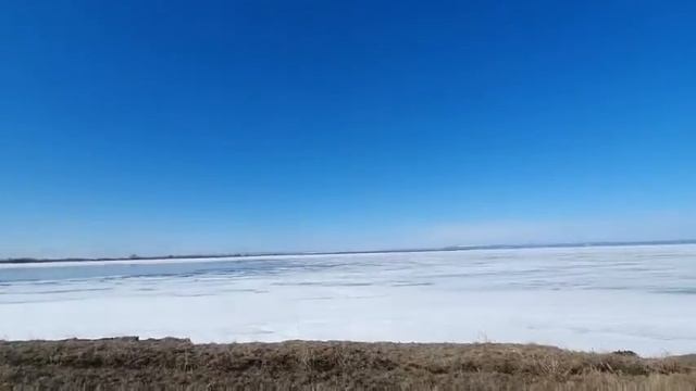 гуси видео смотреть онлайн